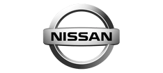 ProMotors - Nissan Logo